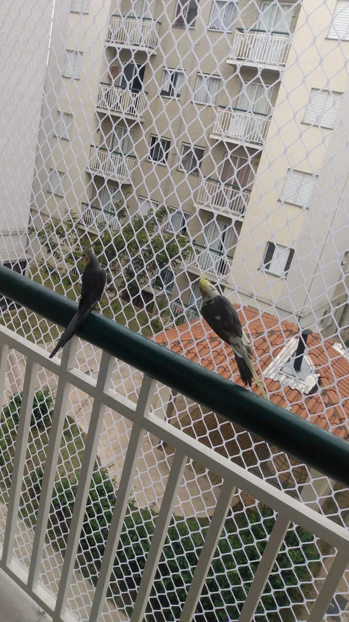 Rede de proteção instalada em janela alta de dormitório